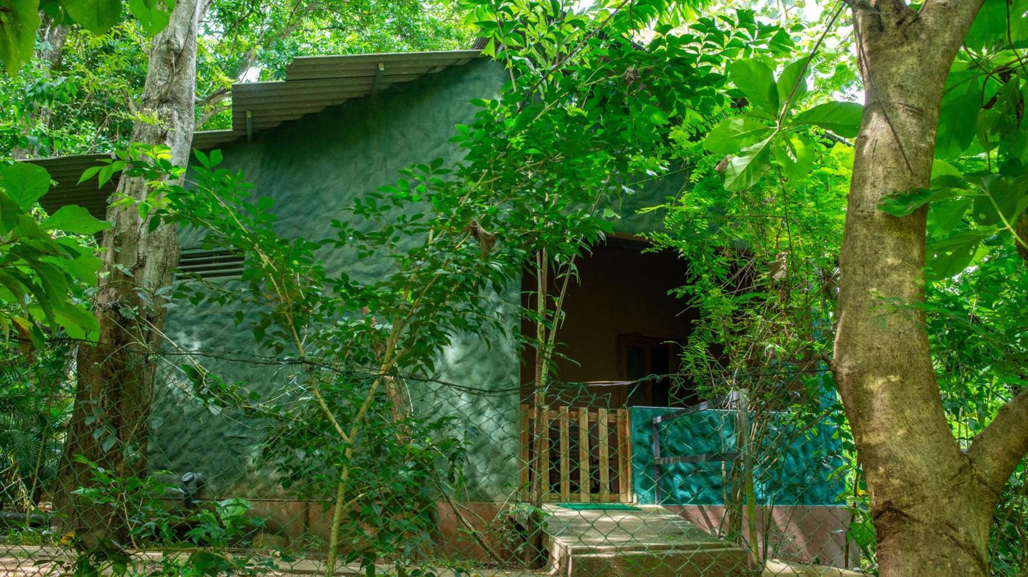 Silent Bungalow Удавалаве Екстер'єр фото
